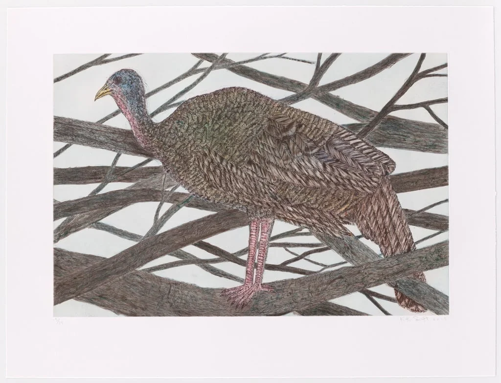 Untitled, by Kiki Smith, graphite, 2015
