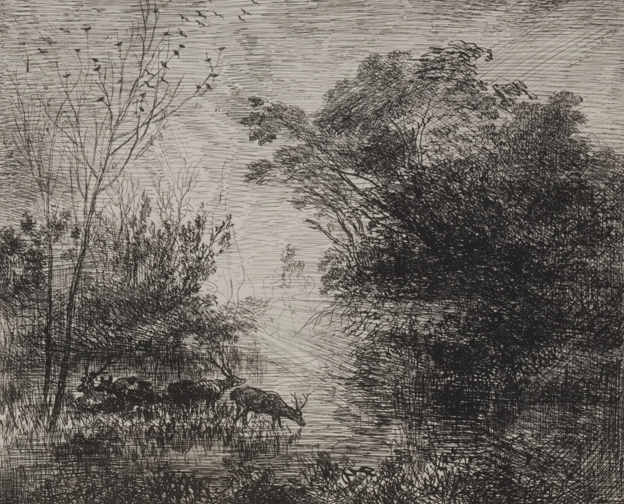 Stags, by Charles François Daubigny, 1862