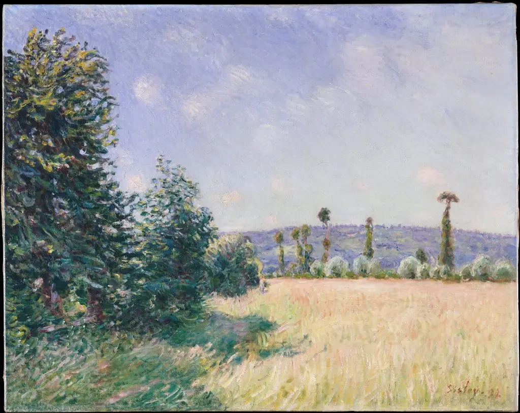 Sahurs Meadows in Morning Sun