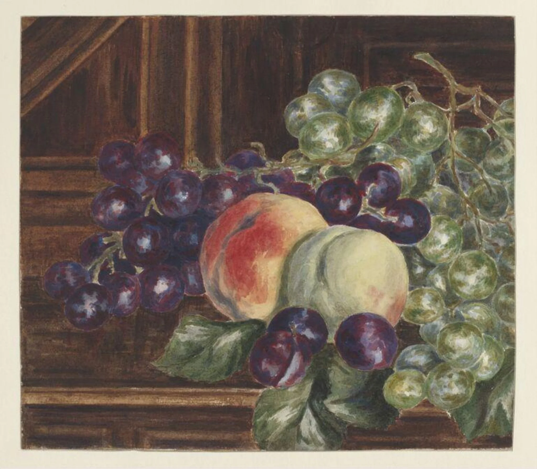 Still life of grapes and peaches on a sideboard, by Beatrix Potter, watercolor, 1882