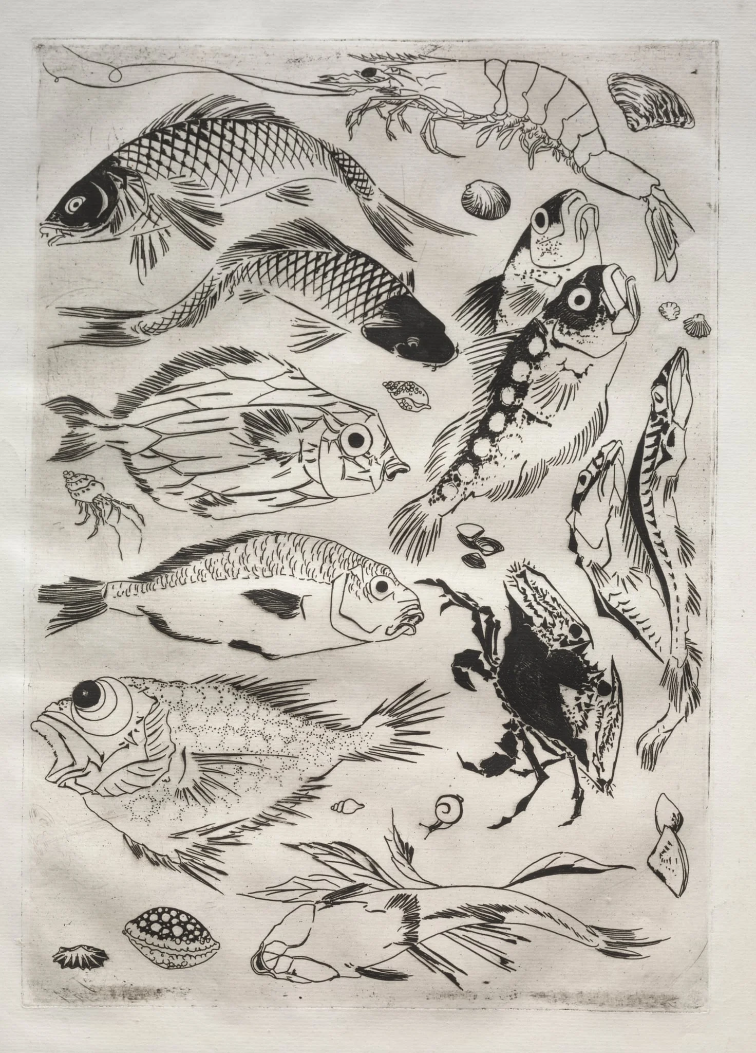 Dinner Service (Rousseau service): Fish (no. 24), by Félix Bracquemond, 1866