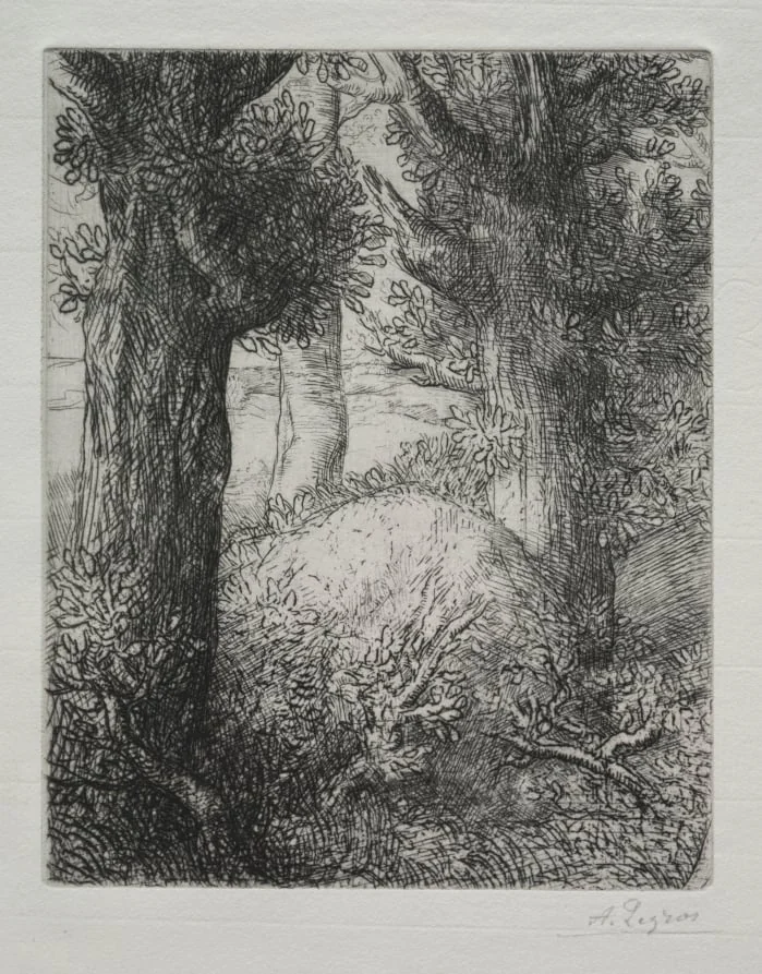 Tumulus gaulois