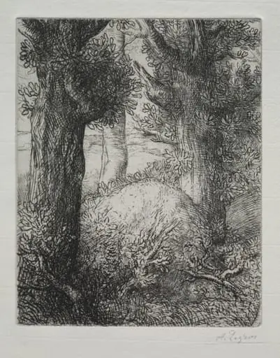Tumulus gaulois