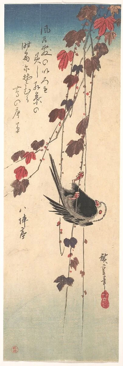 歌川広重画　蔦に柄長鳥|Long-tailed Tit on Autumn Ivy, by Utagawa Hiroshige, ink, 1835