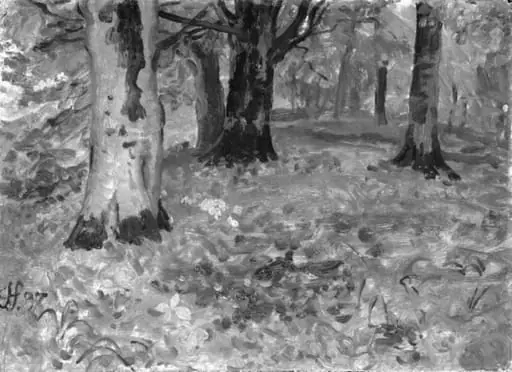 Woodscape. Autumn