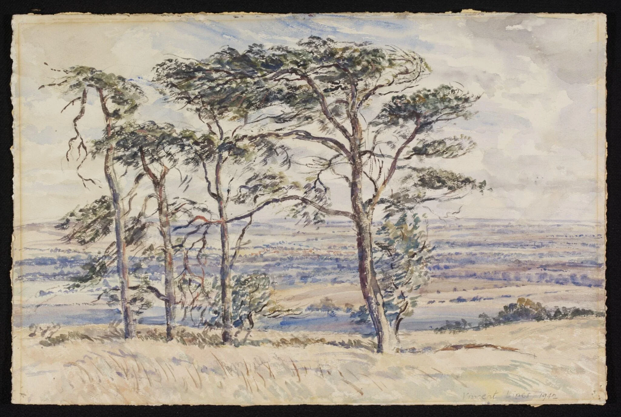 Pewsey Vale and Fir Trees from Martinsell, by Lines, watercolor, 1942