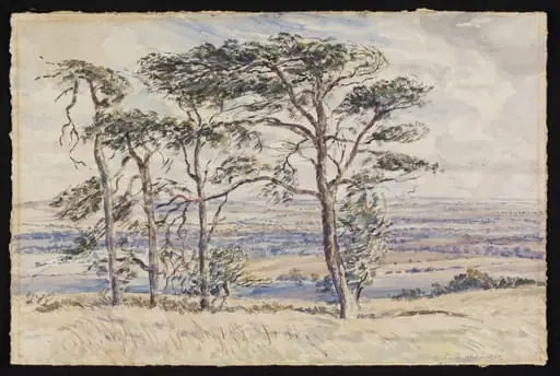 Pewsey Vale and Fir Trees from Martinsell