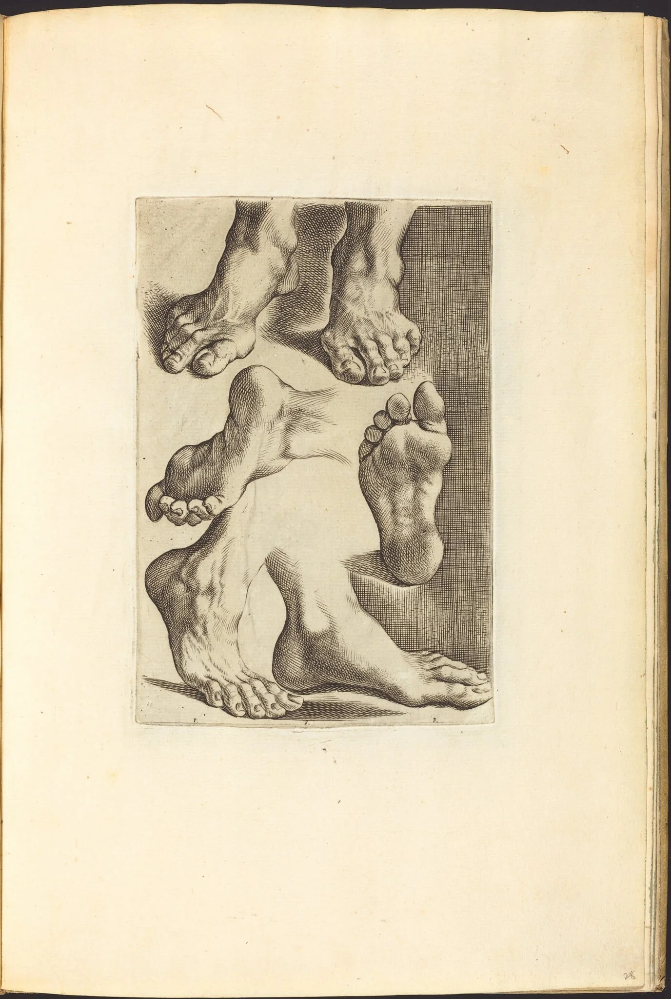 Print from Drawing Book, by Luca Ciamberlano, ink, 1615