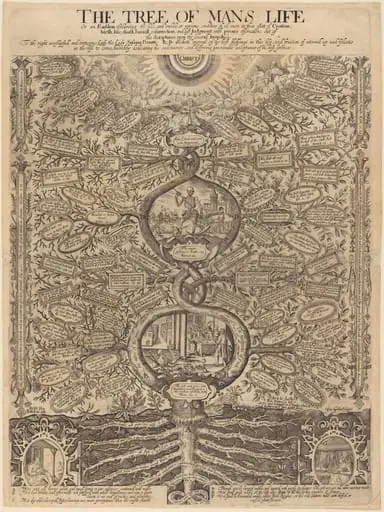 The Tree of Man's Life