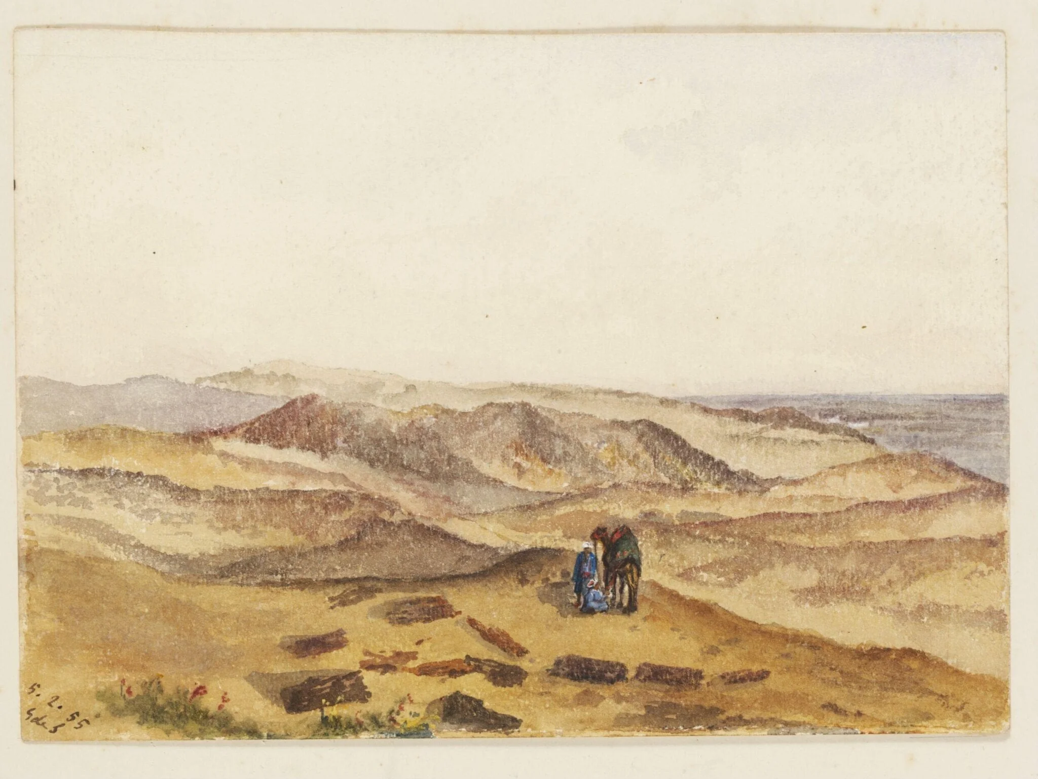`Petrified Forest  Desert near Cairo'