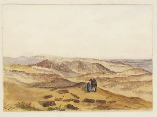 `Petrified Forest  Desert near Cairo'