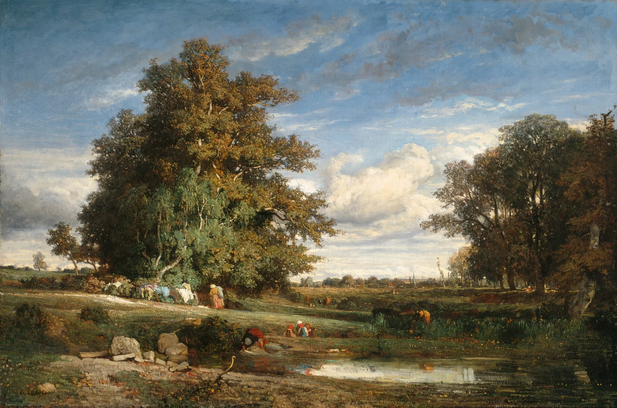 The Marsh