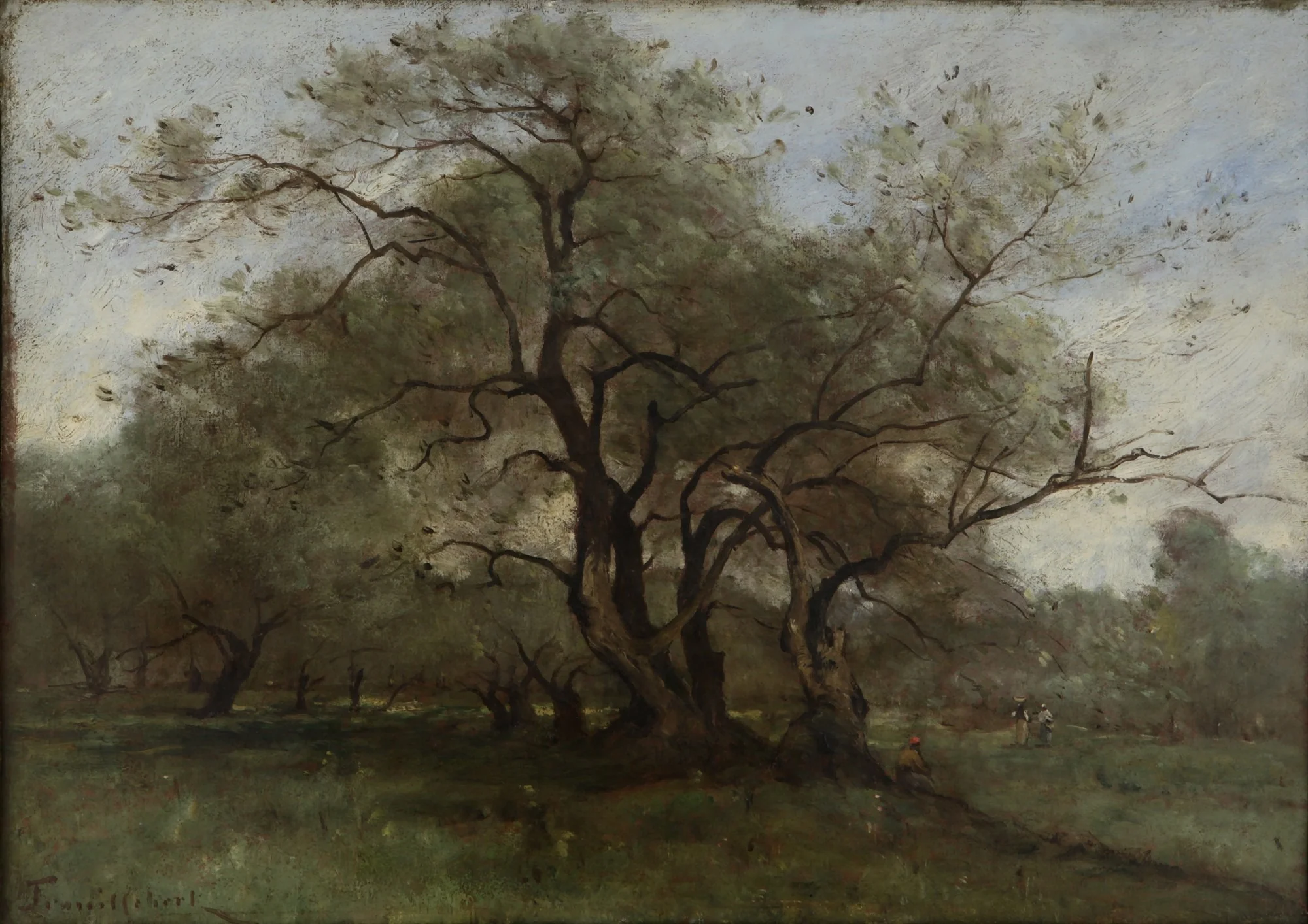 Landscape