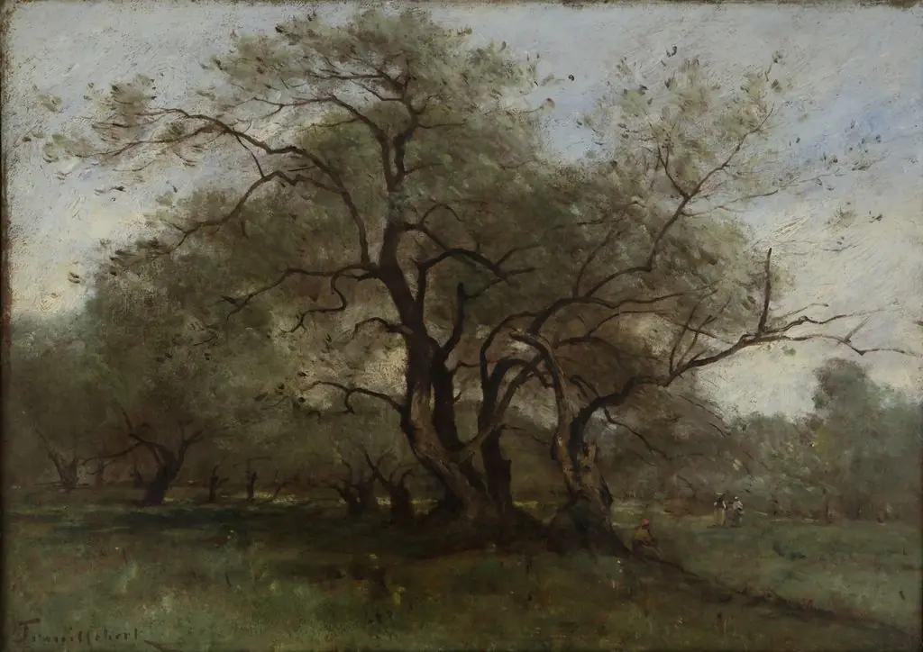 Landscape
