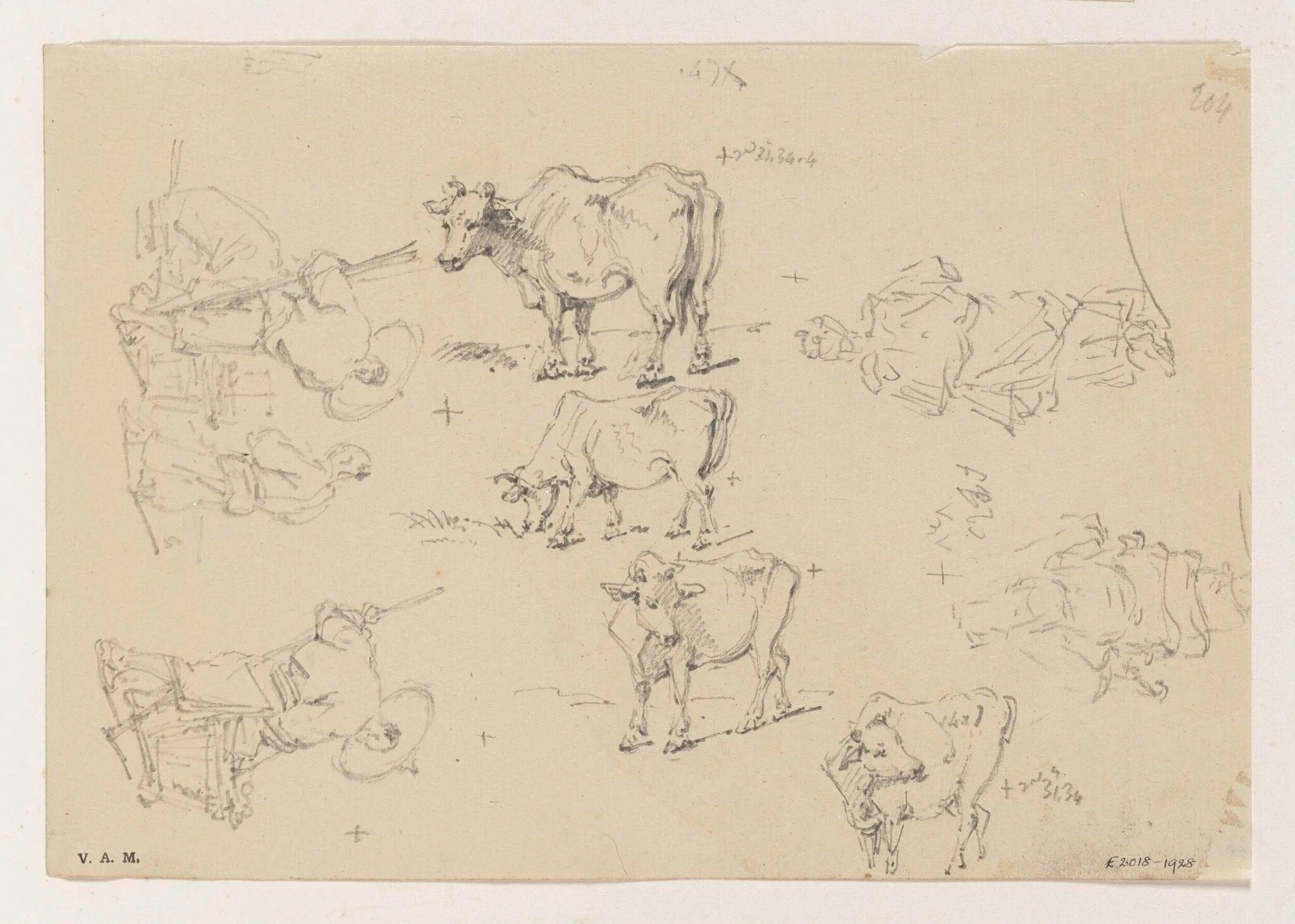 Figures and cattle