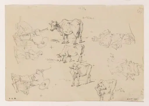 Figures and cattle