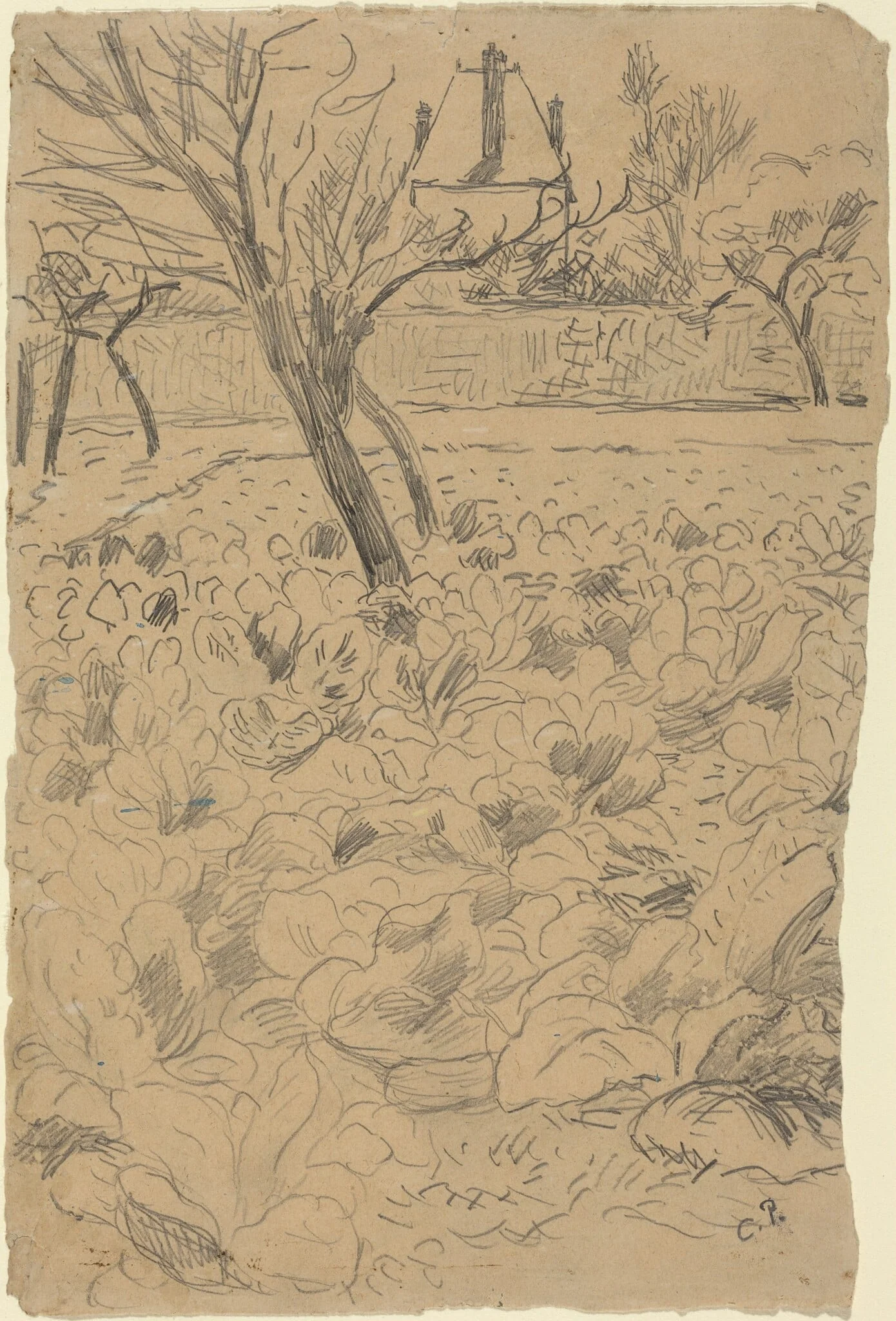 a) The Cabbage Field (Le Champ de choux); b) The Cabbage Field (Le Champ de choux), by Camille Pissarro, graphite, 1880