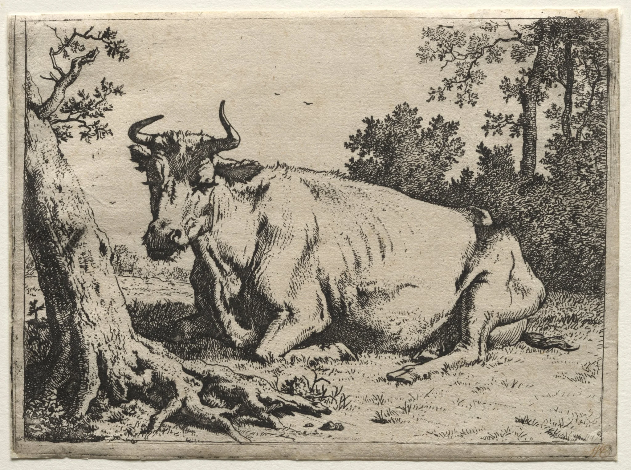 The cow lying down near a tree, by Paulus Potter, 1649