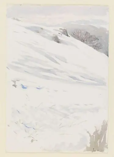 Snowy hillside