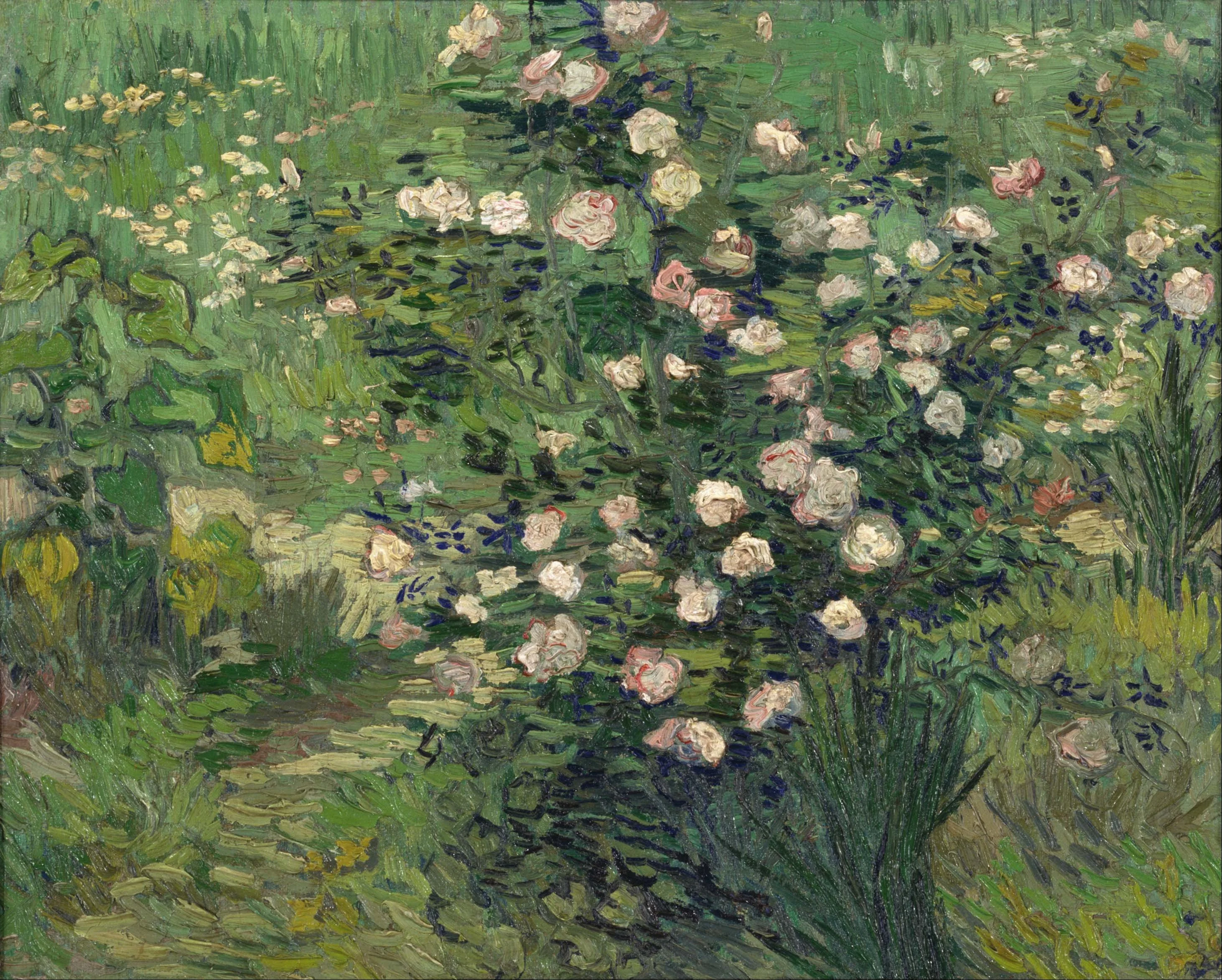 Roses, by Vincent van Gogh, oil, 1895