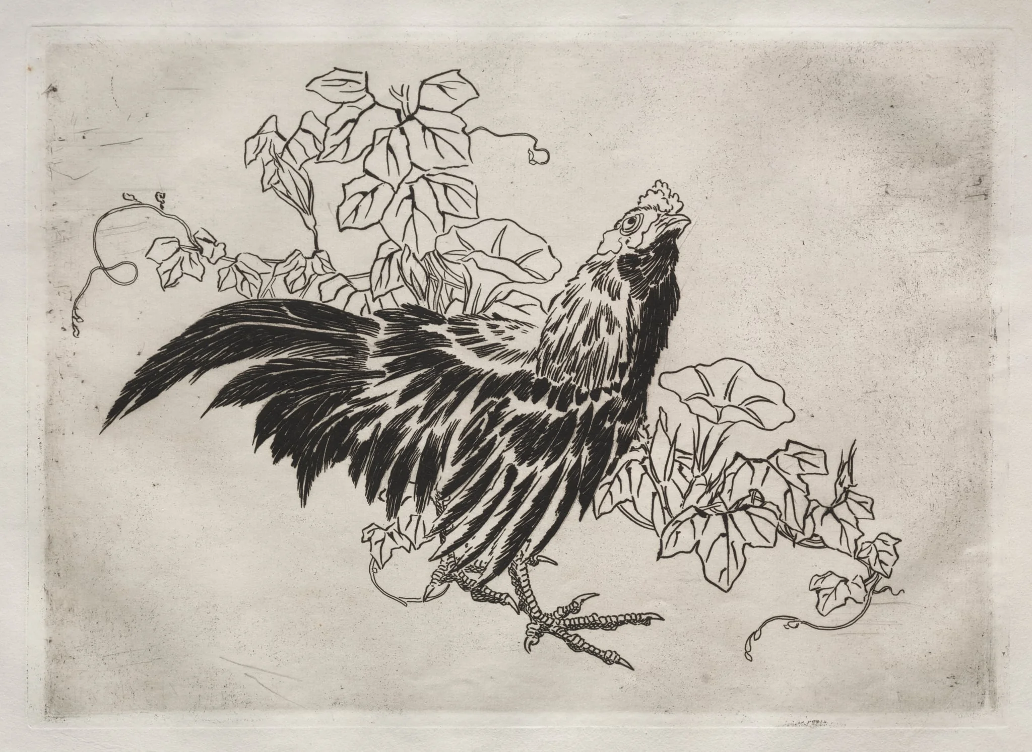 Dinner Service (Rousseau service): Rooster and morning glories (no. 25), by Félix Bracquemond, 1866