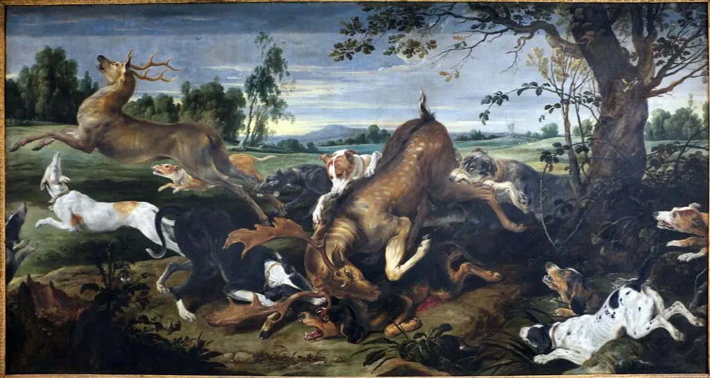 Deer Hunt