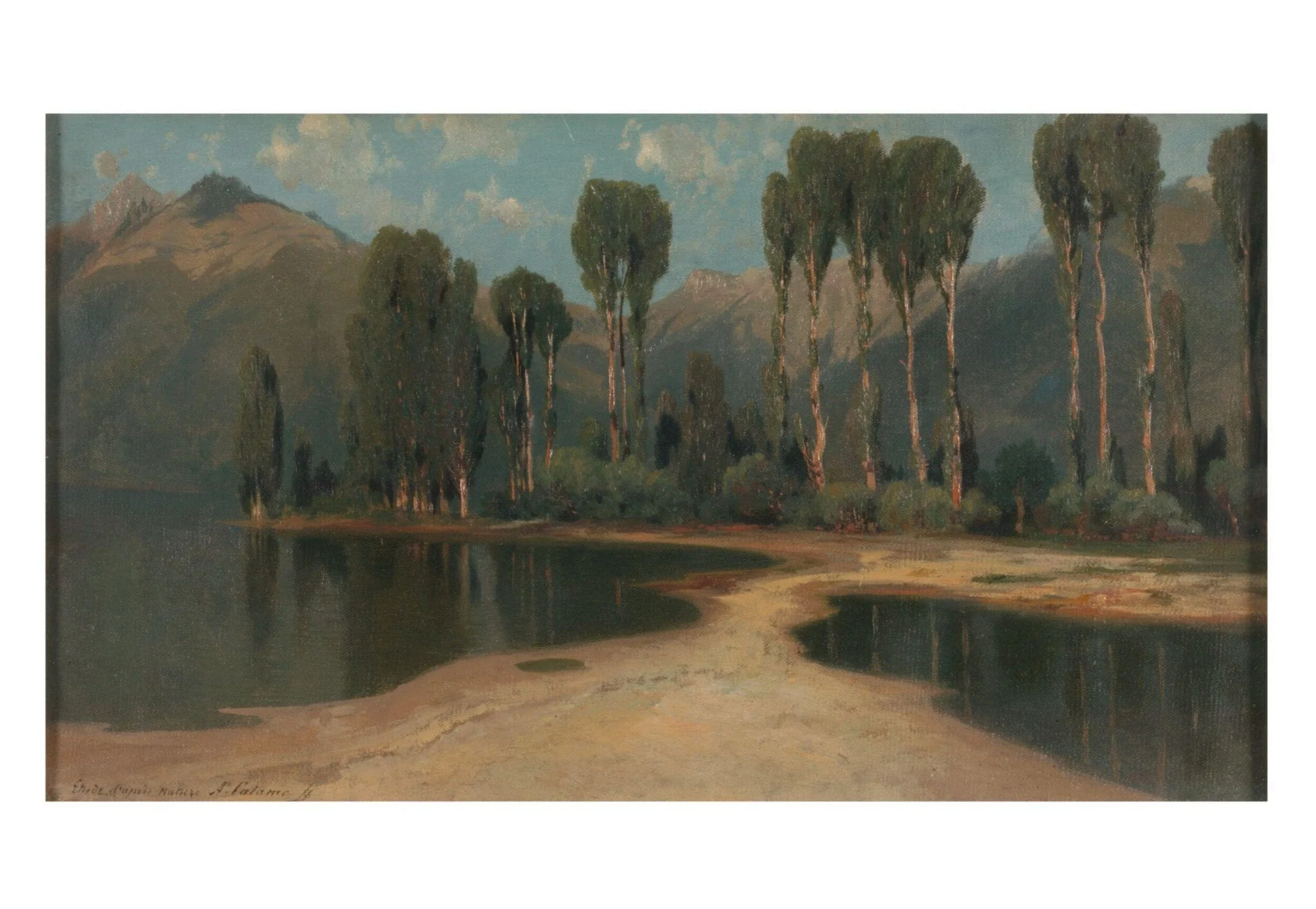 Study from Nature: Near Villeneuve, by Alexandre Calame, oil, 1855