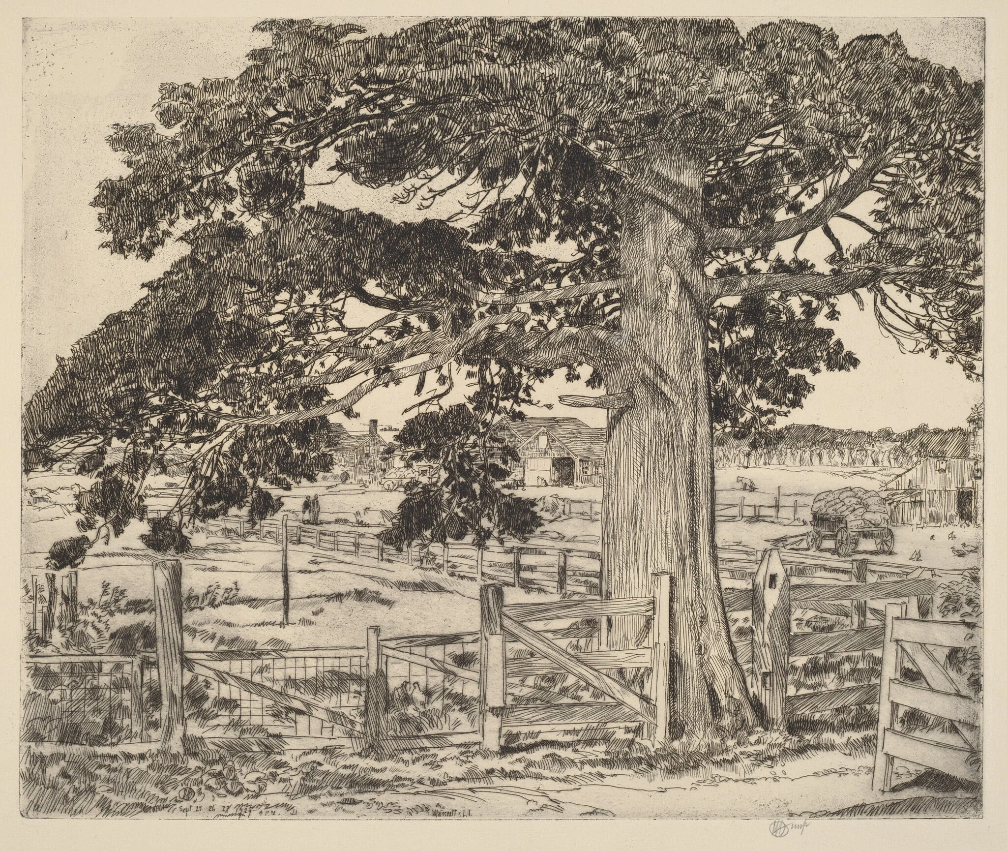 The Big Cedar, by Childe Hassam, ink, 1927