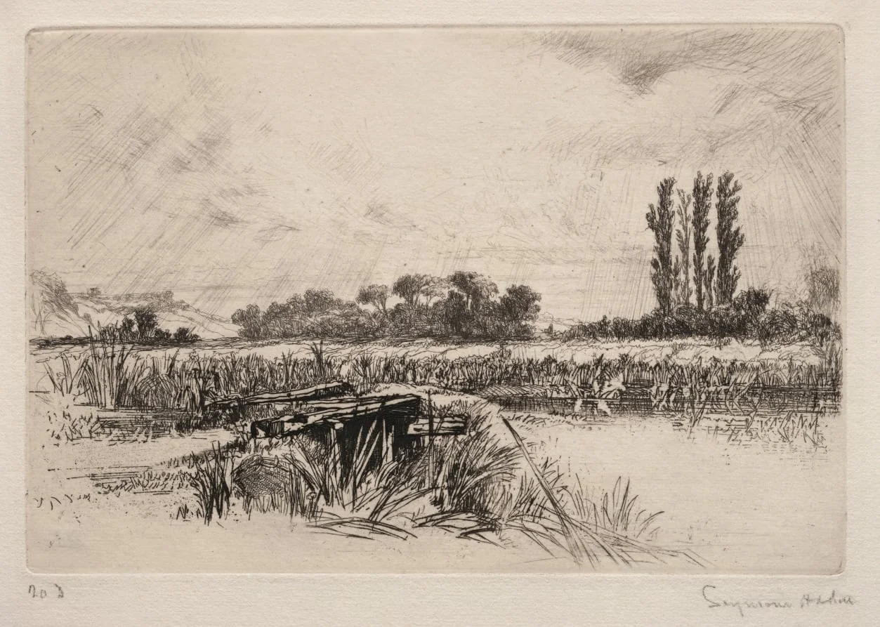Water Meadow, by Francis Seymour Haden, 1859