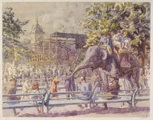 Elephant Riding, Zoological Gardens, Regent's Park, London