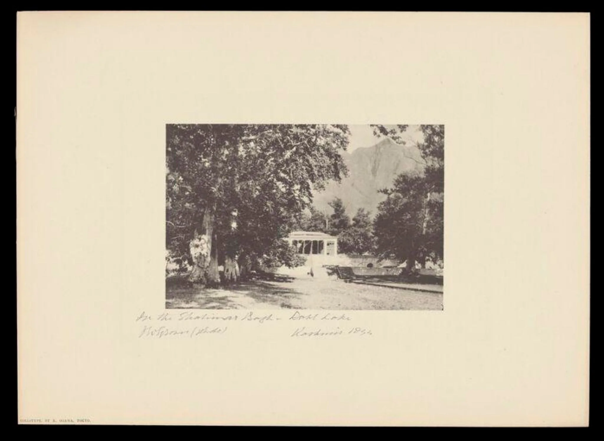 In the Shalimar Bagh, Dahl Lake, Kashmir, by J.W. Groves, photographic, 1894