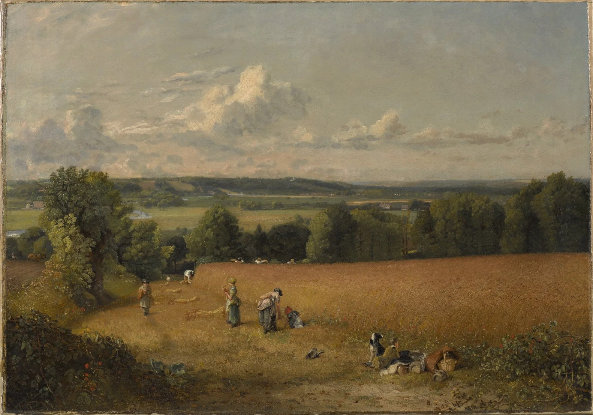 The Wheat Field