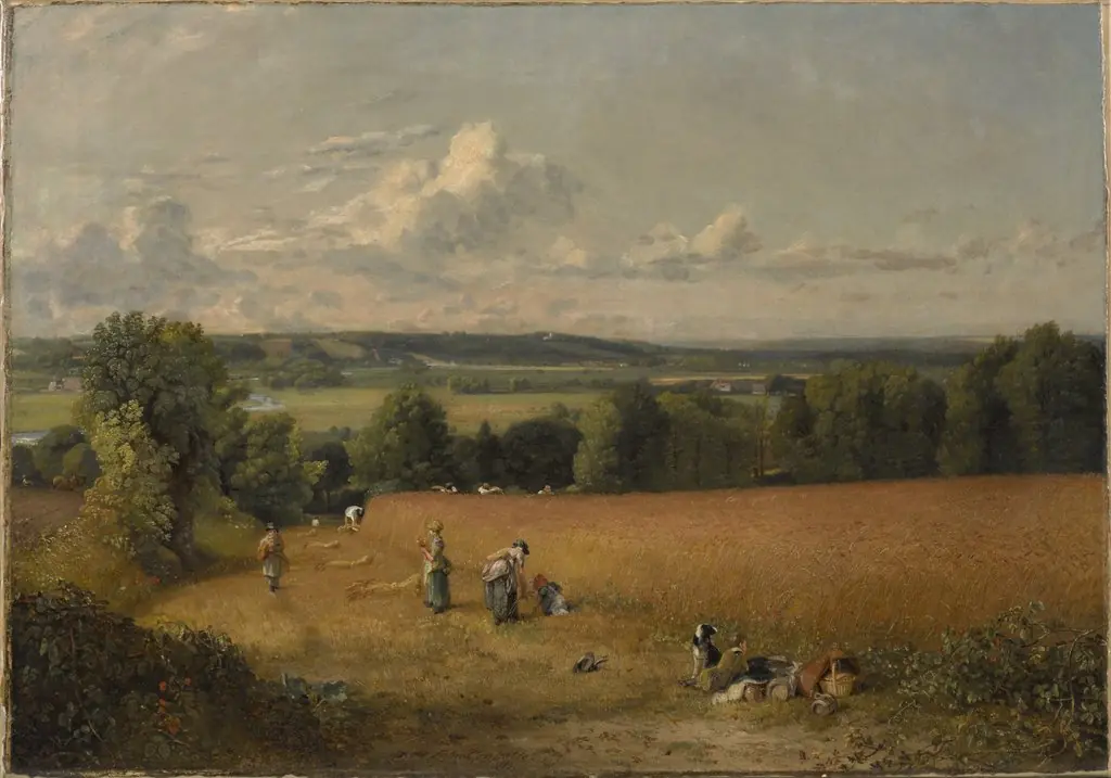 The Wheat Field