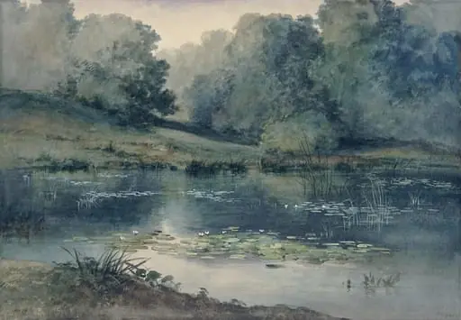 Pond with water lilies