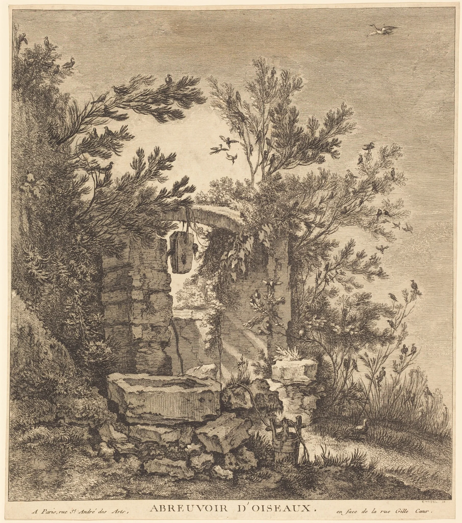 Abreuvoir d'oiseaux (The Birds' Watering Place), by Quentin-Pierre Chedel, ink, 1754