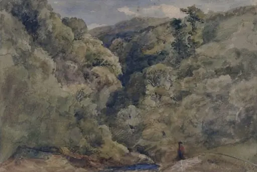 A Mountain Glen
