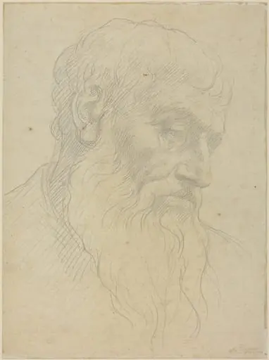 Study of a Head