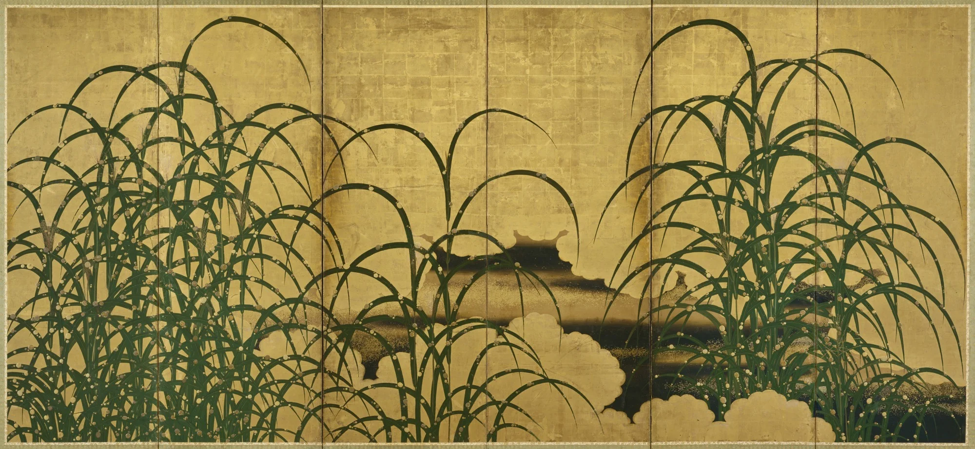 Pampas Grass, by Unknown, unspecified, 1615
