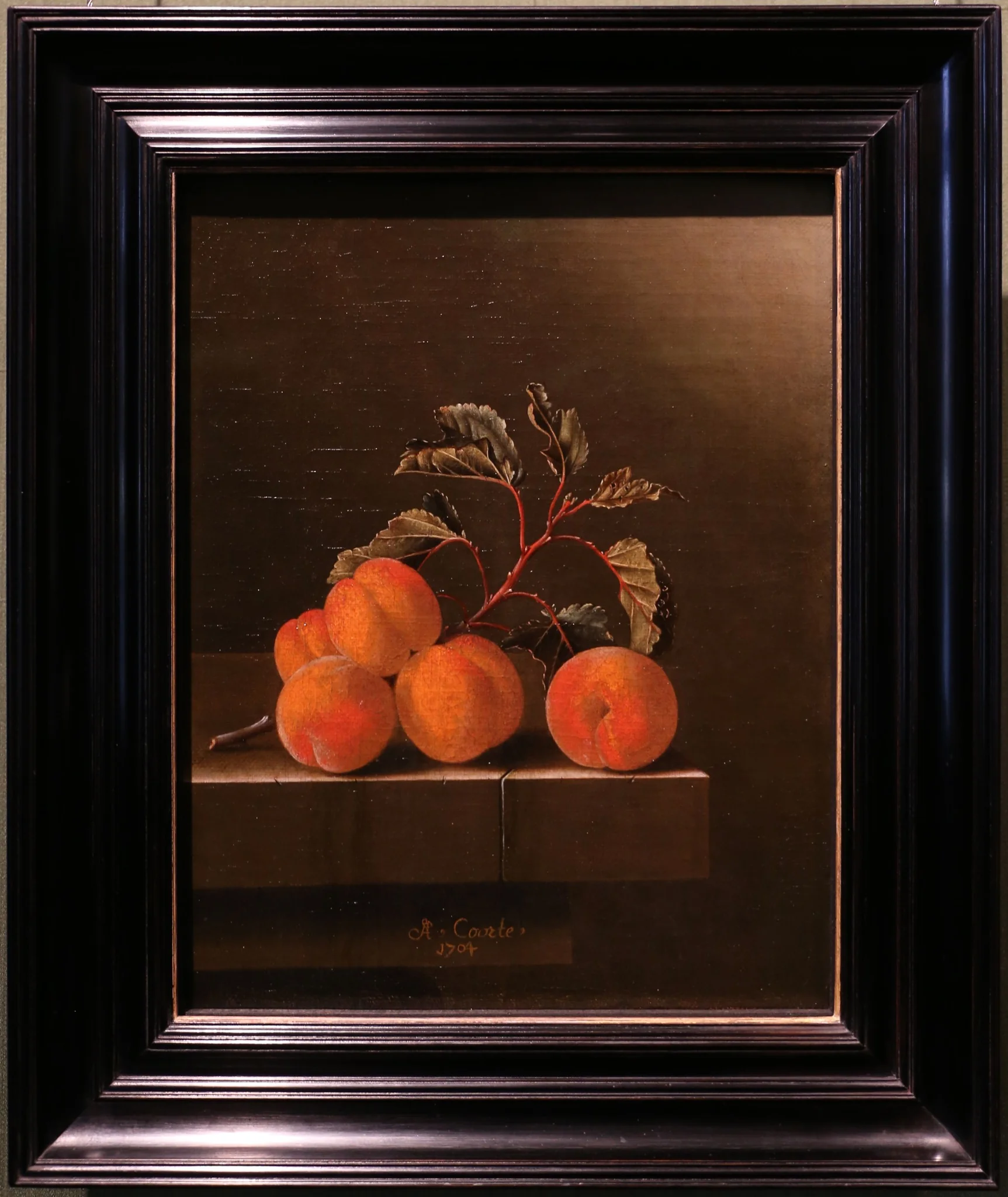 Still Life with Five Apricots, by Adriaen Coorte, unspecified, 1704