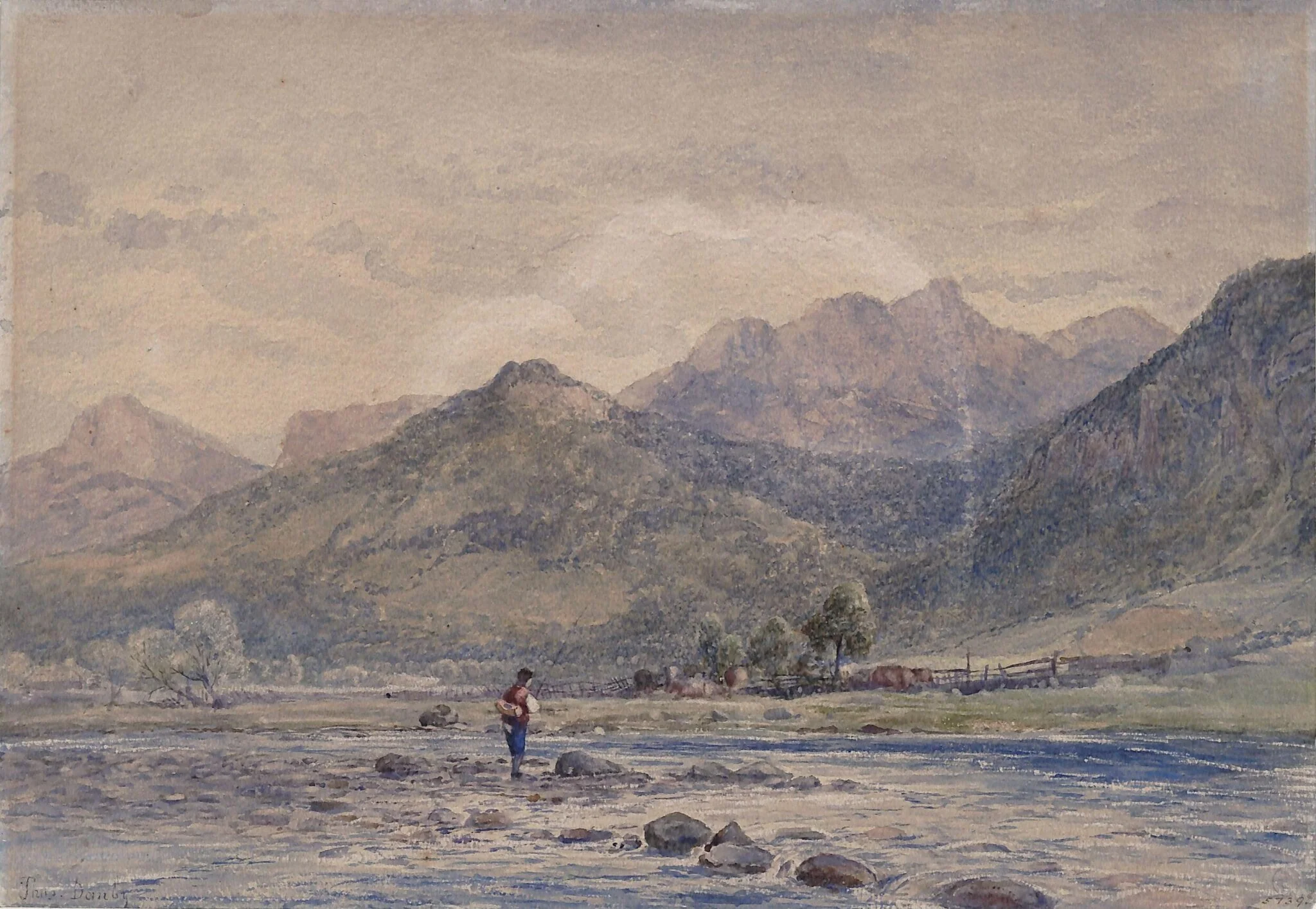 Trout Stream, near Capel Curig