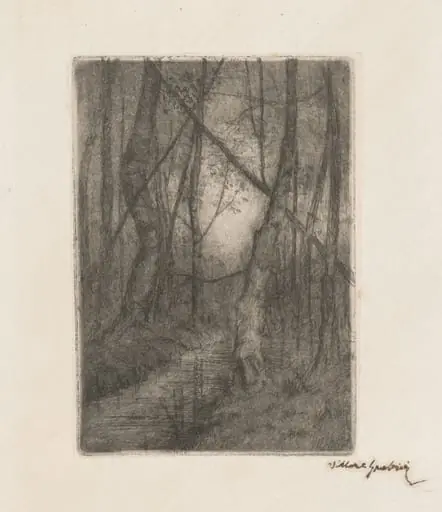 Stream in the Woods