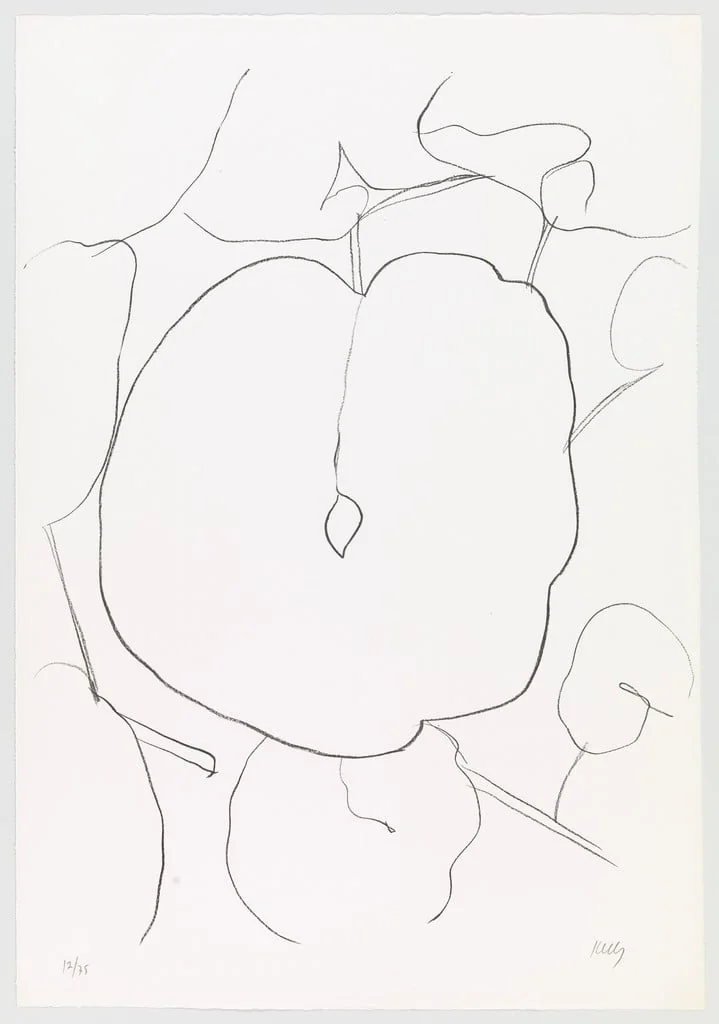 Untitled, by Ellsworth Kelly, ink, 1966