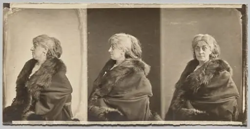 Portrait of Ernestine Nadar, the artist's wife, wearing fur stole