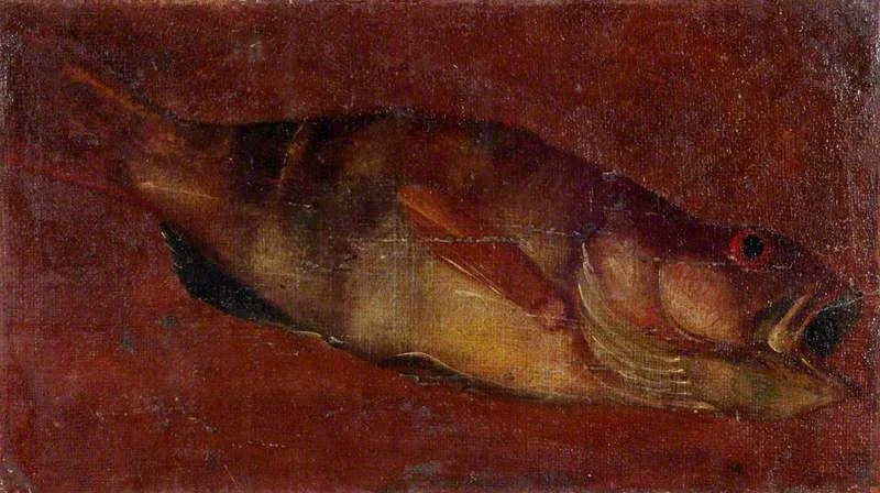 Study of a Fish