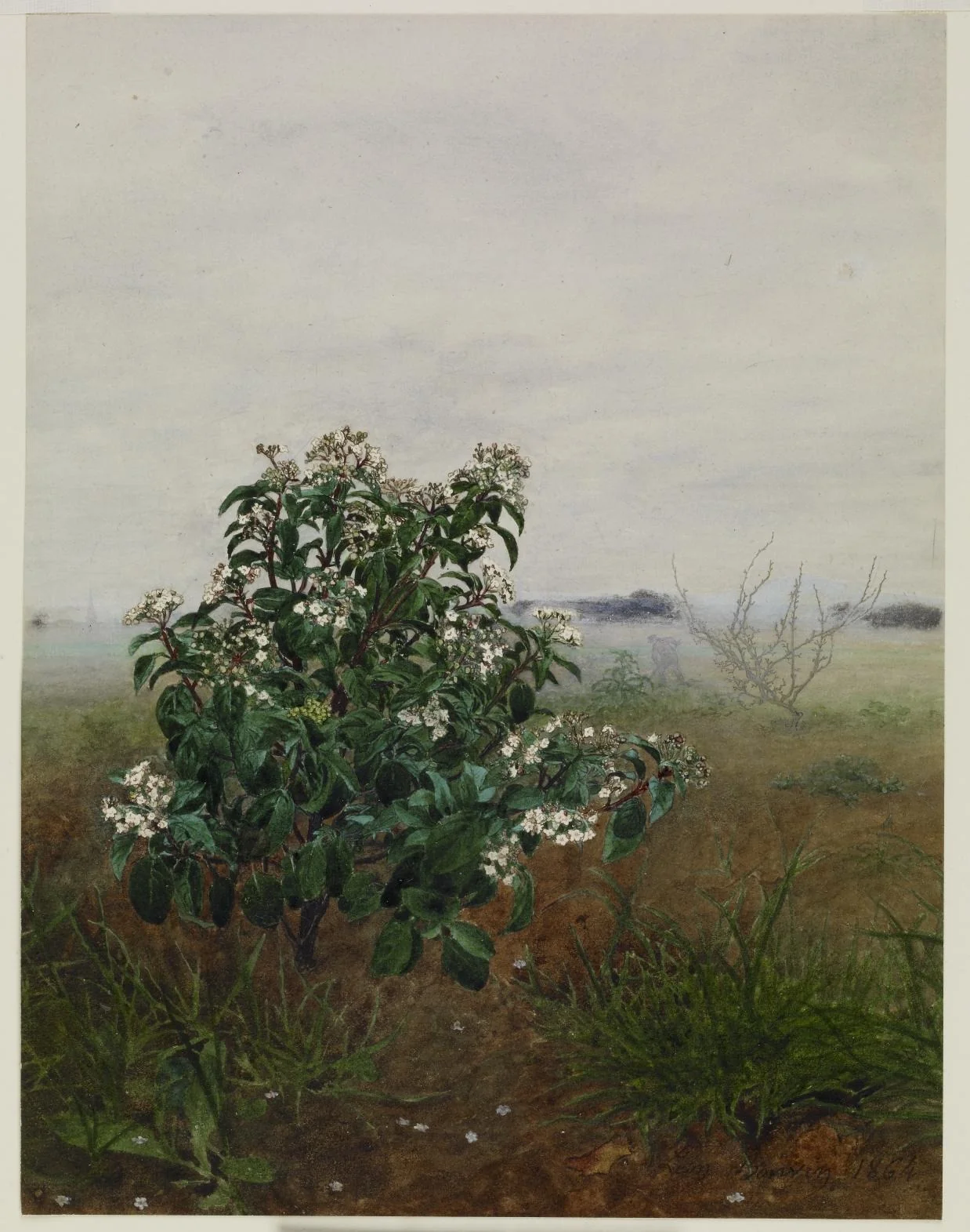 The Flowering Shrub, by Léon Bonvin, unspecified, 1864
