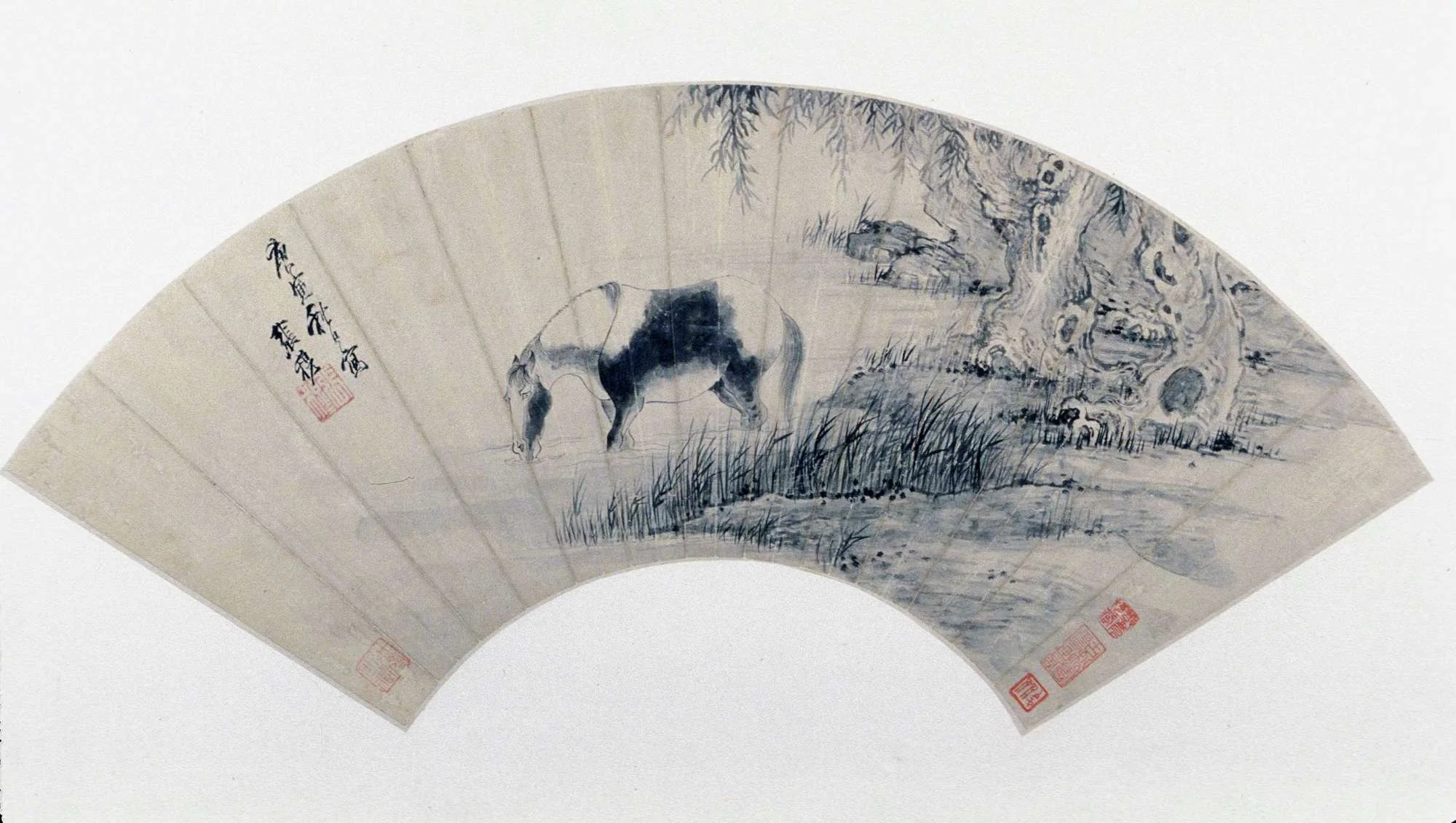 Horse Drinking in a River