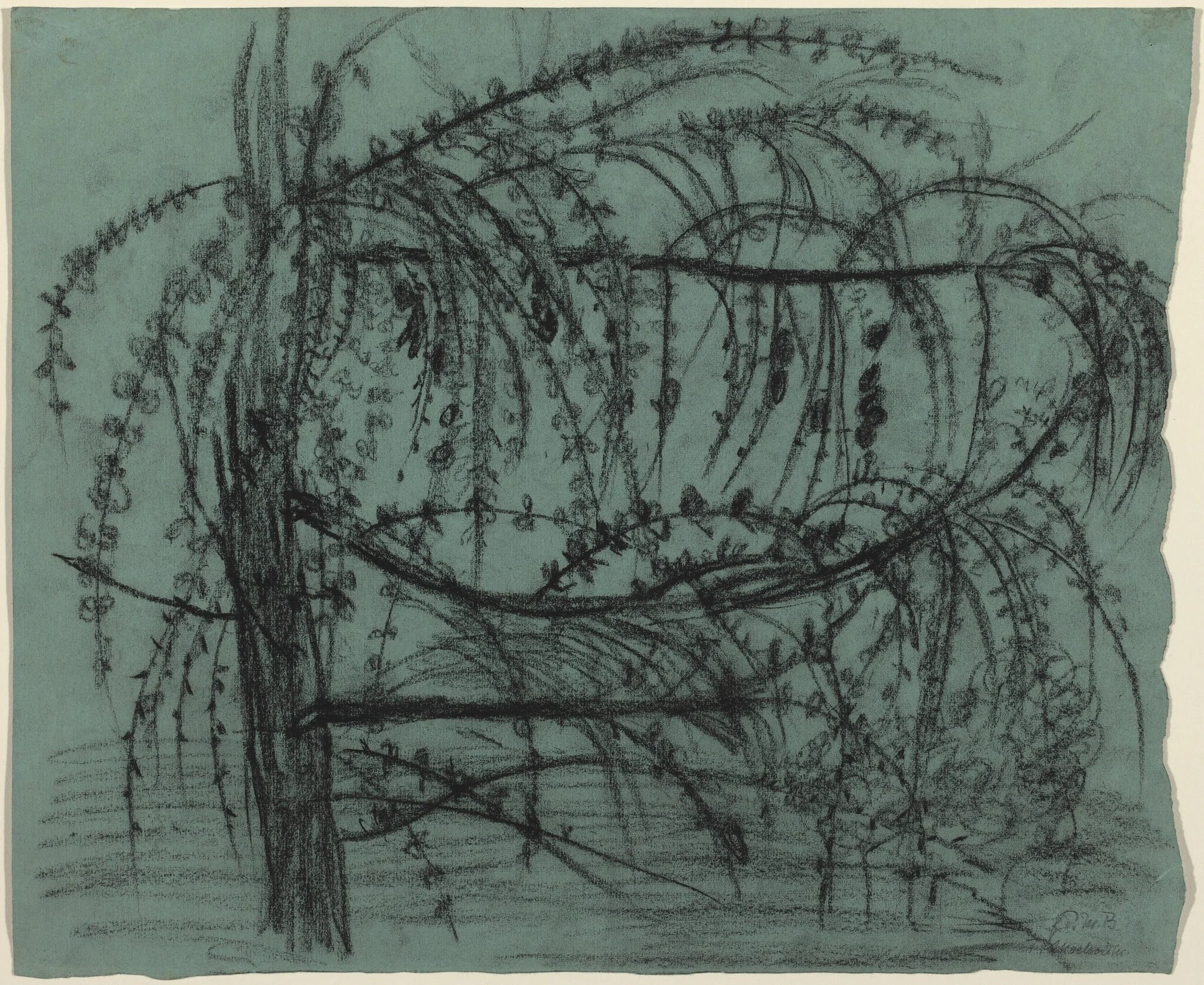 Fruit Tree in Bloom, by Paula Modersohn-Becker, charcoal, 1901