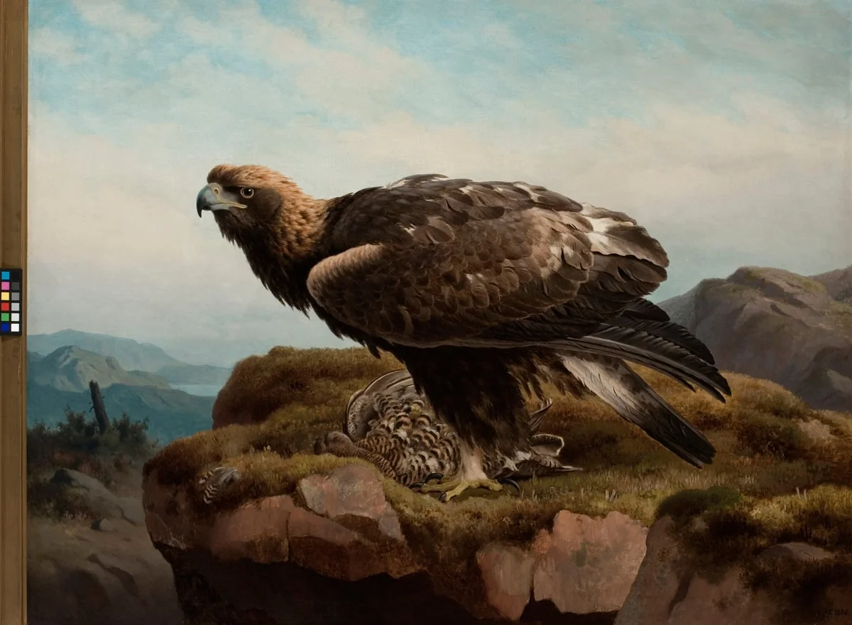 Kotka jyrkänteen reunalla, by Ferdinand von Wright, unspecified