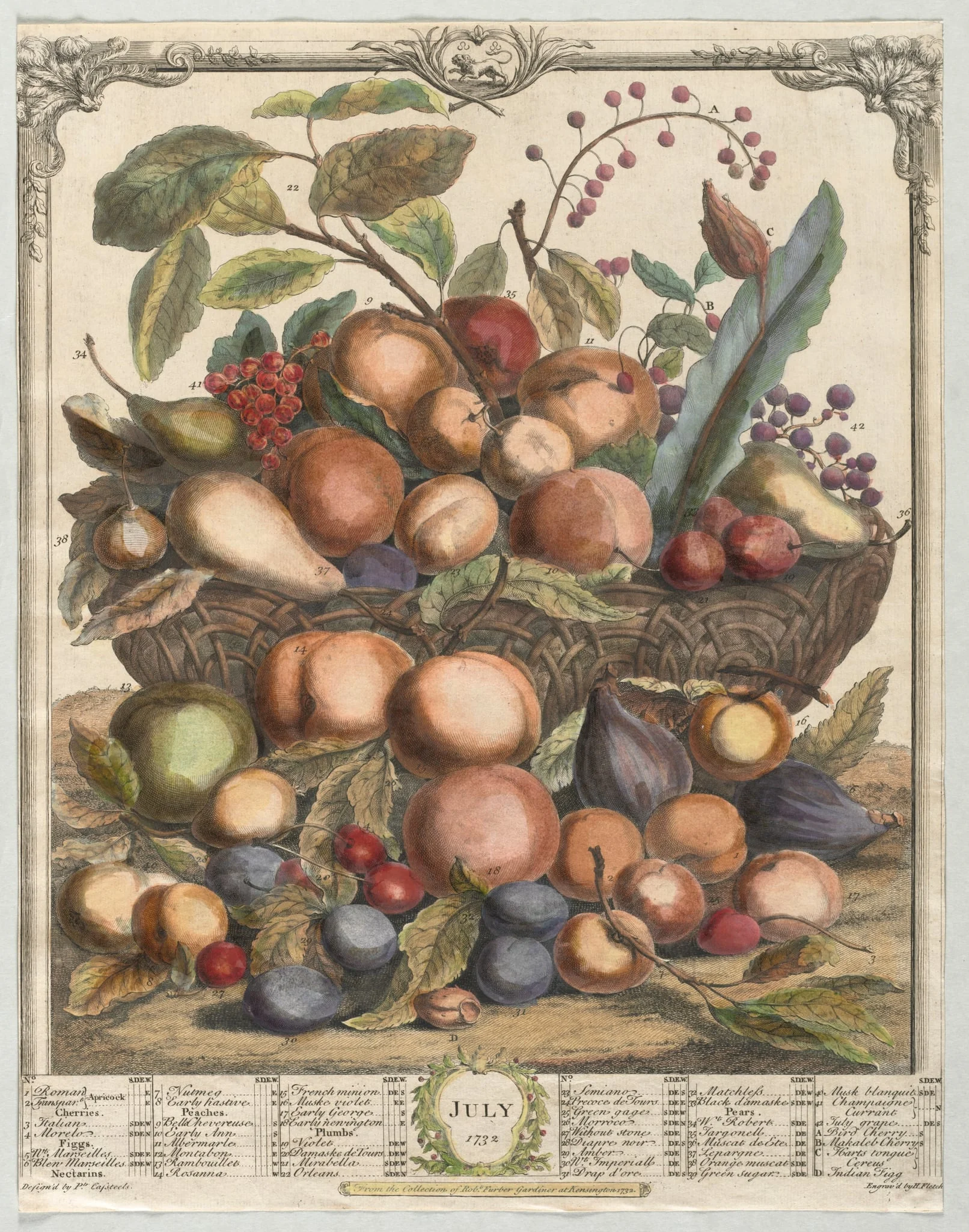 Twelve Months of Fruit:  July, by Henry Fletcher, 1732