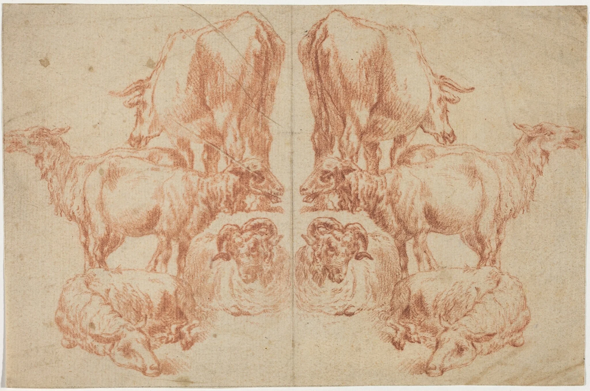 Four Sheep and a Cow, by Nicolaes Pieterszoon Berchem, chalk, 1652